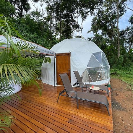 La Comarca River Glamping Dome Near Manuel Antonio Bagian luar foto