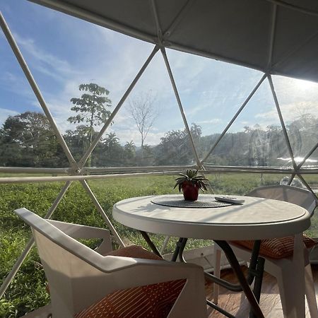 La Comarca River Glamping Dome Near Manuel Antonio Bagian luar foto