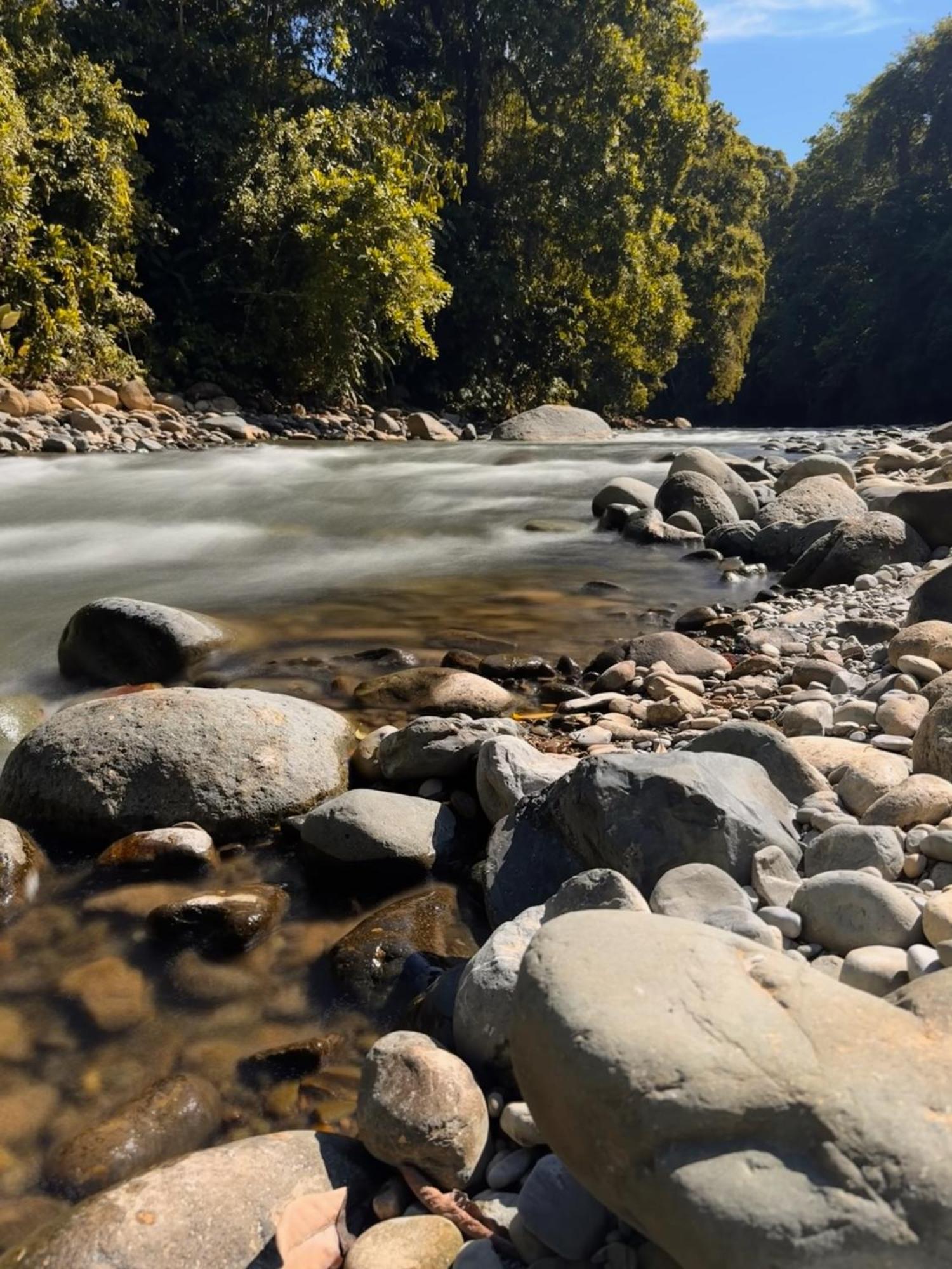 La Comarca River Glamping Dome Near Manuel Antonio Bagian luar foto